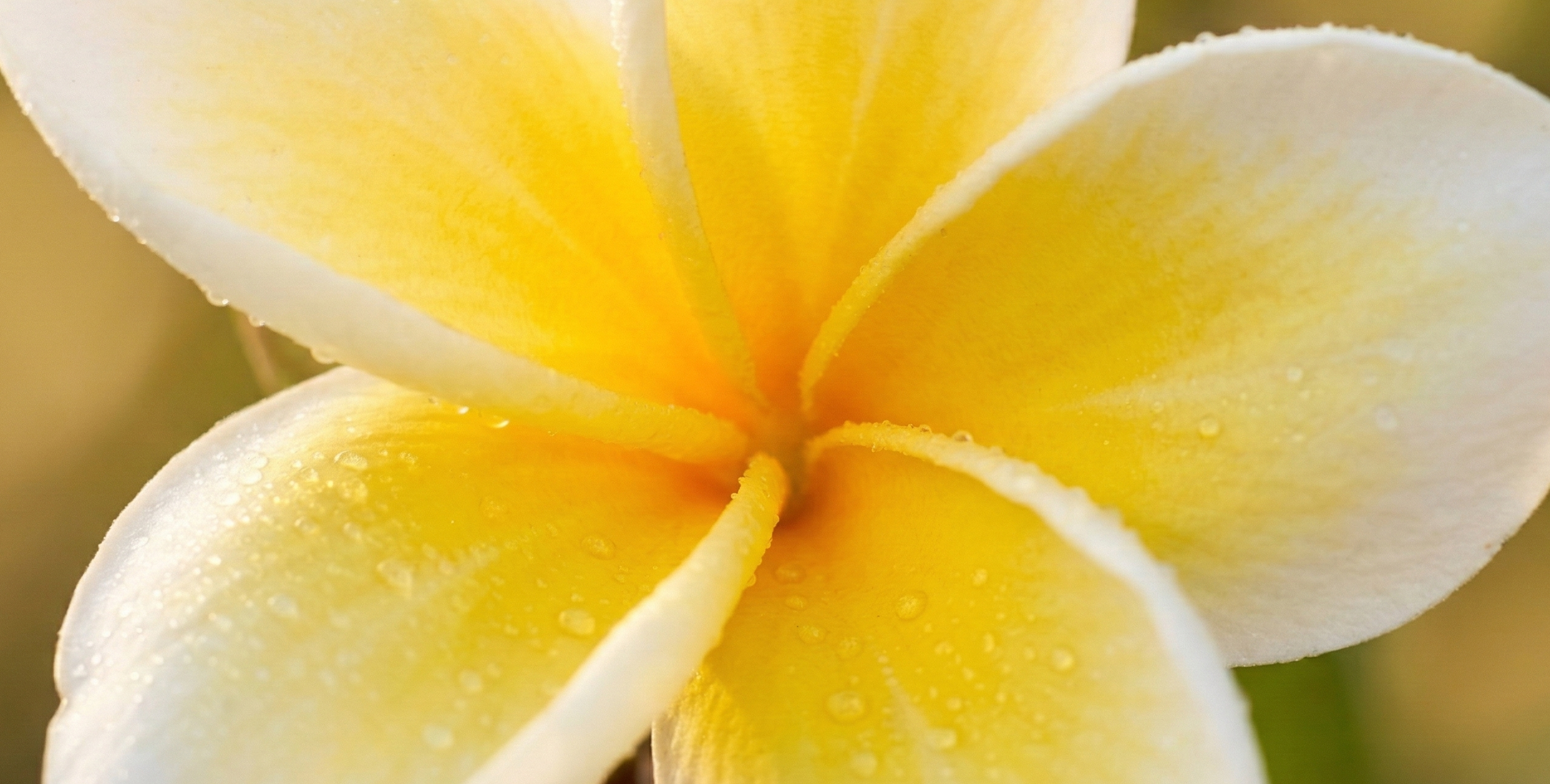 Rebalancing Koerperarbeit Bodensee